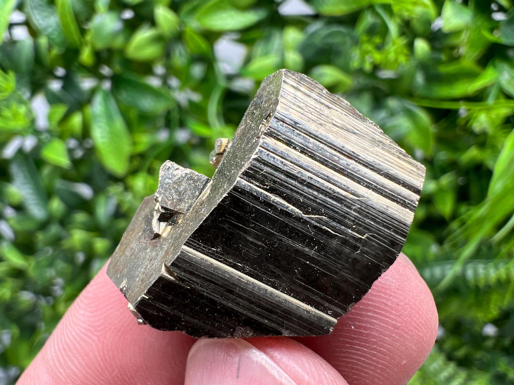 Mini Rainbow Pyrite Cluster, Borieva Mine, Bulgaria