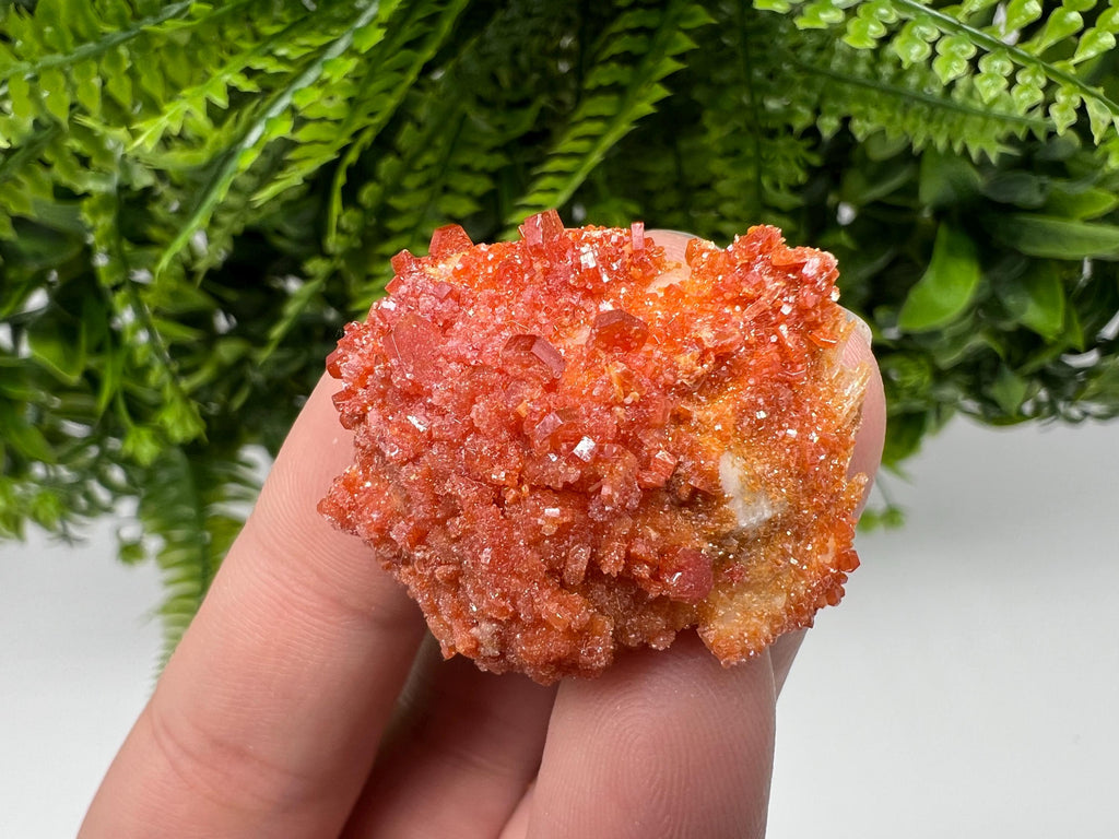 Red Vanadinite Crystal Cluster on Barite, Morocco Mineral Specimen