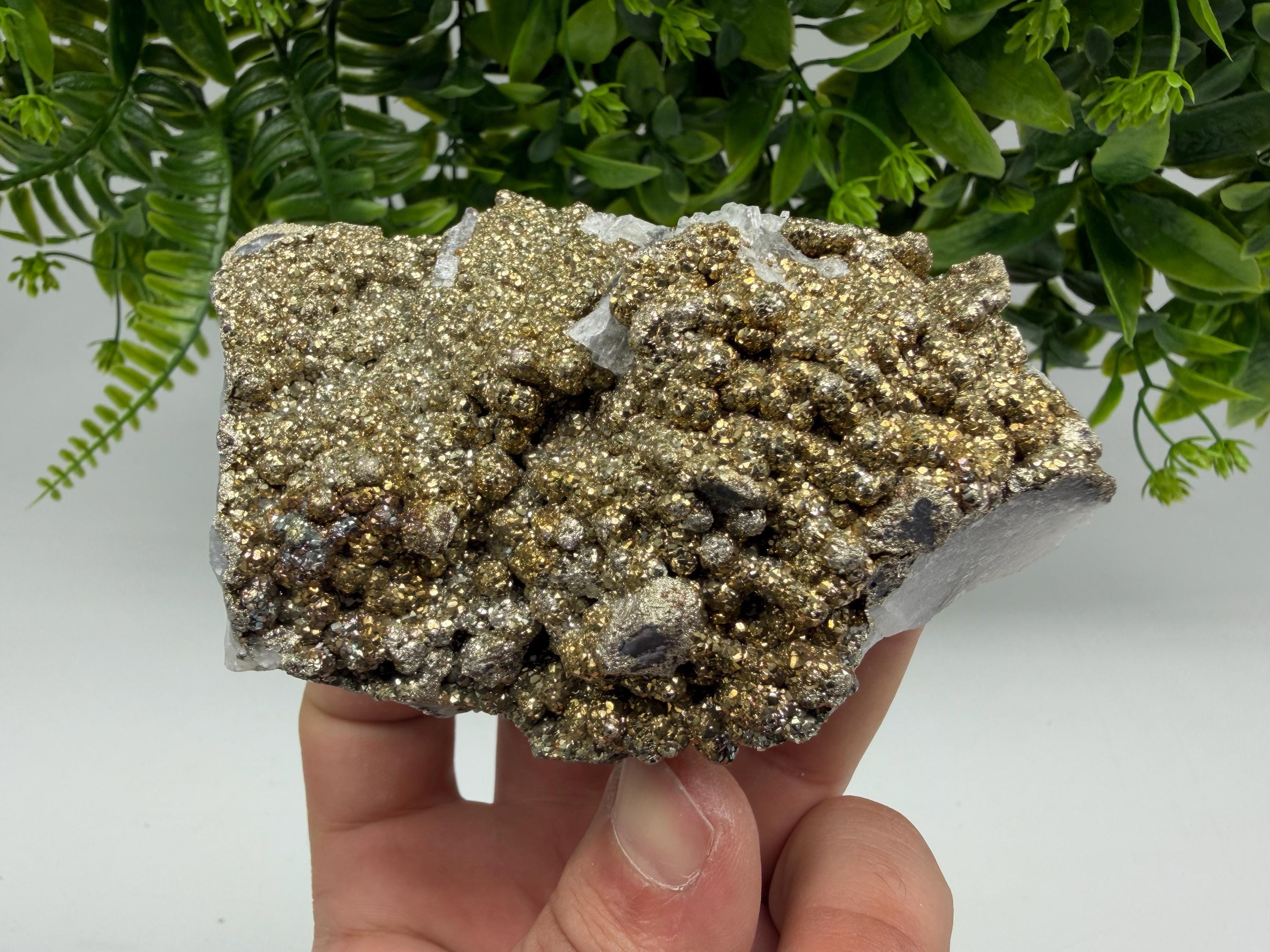 Marcasite Cluster on Chalcedony Mineral Specimen, Androvo Mine Bulgaria