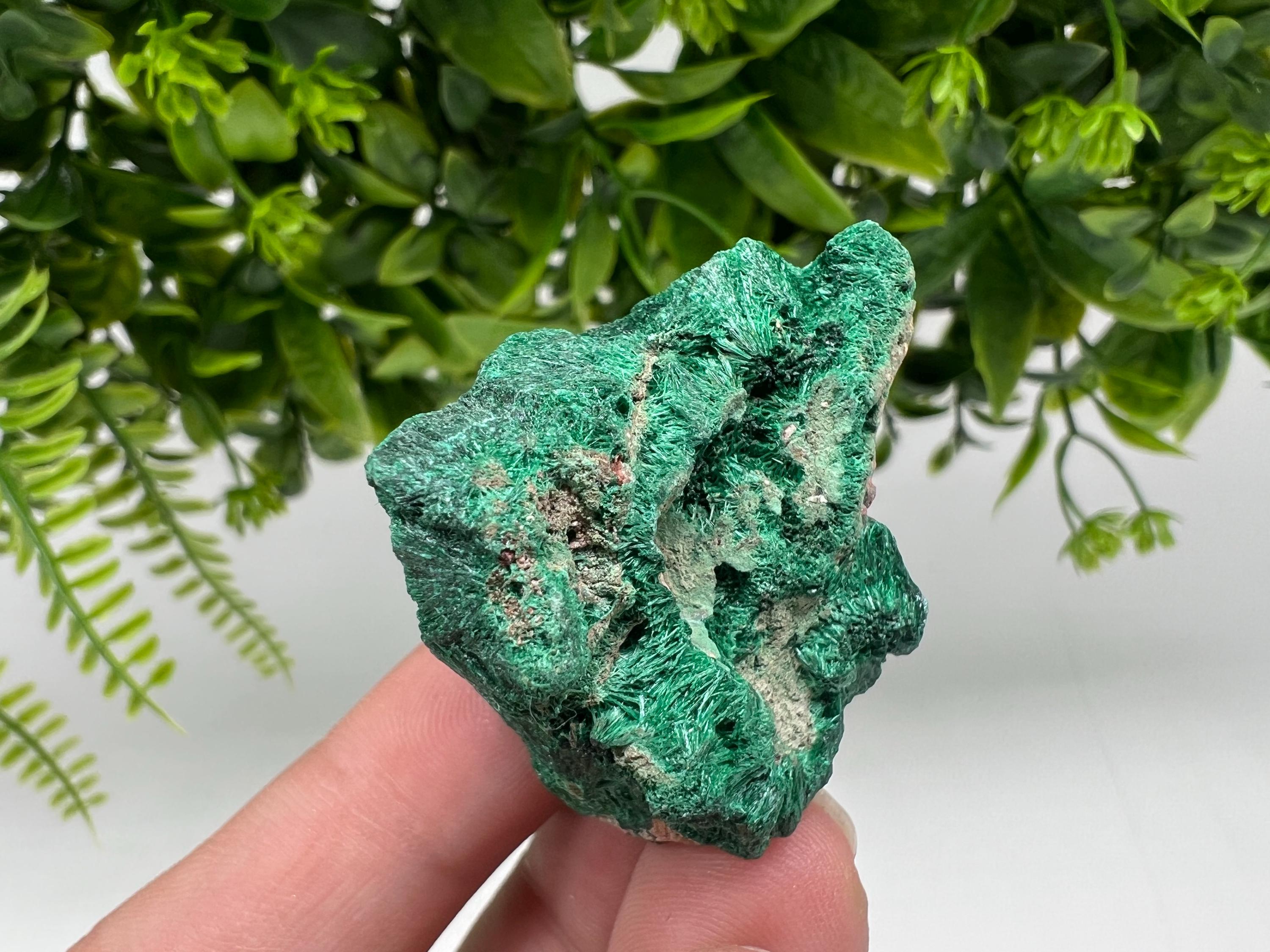 Malachite Crystal from Congo,Minerals,Crystals from Congo,Green Malachite, Malachite,Natural Malachite,Malachite Stone,Chakra, Specimens