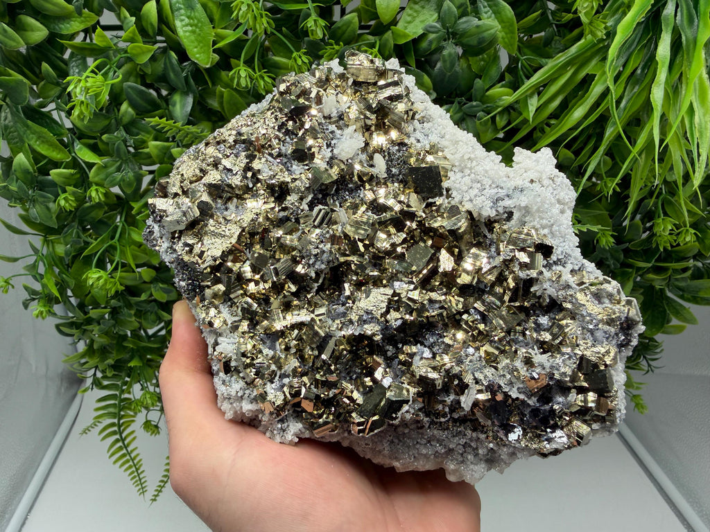 Transparent Quartz with Pyrite, Krushev Dol Mine, Bulgaria