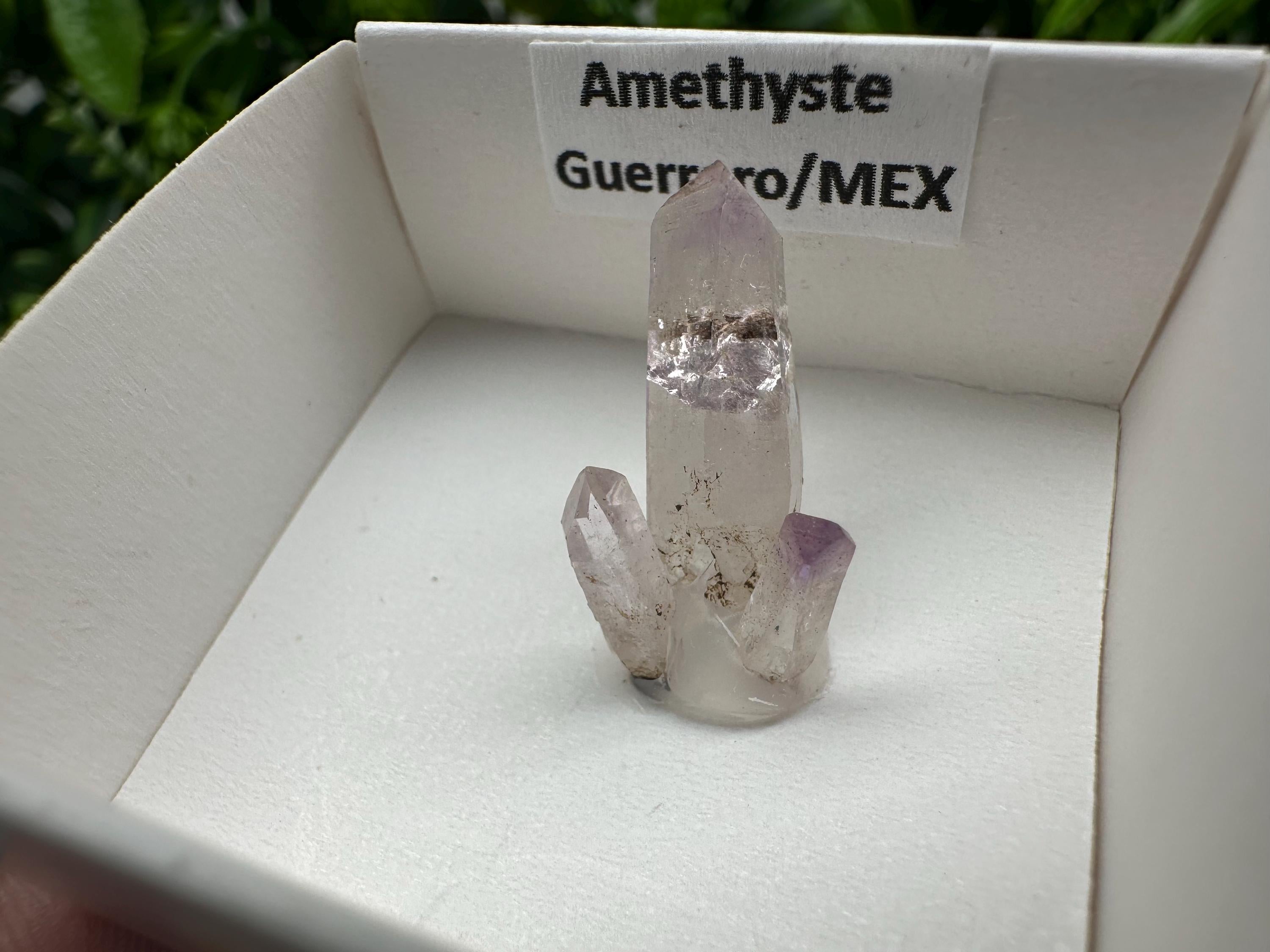 Mexican Amethyst Mineral Specimen: Crystal Collector's Piece (20mm)
