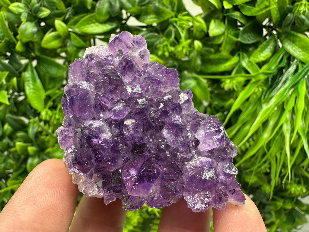 Uruguay Amethyst Cluster: Purple Quartz Crystal, Home Decor