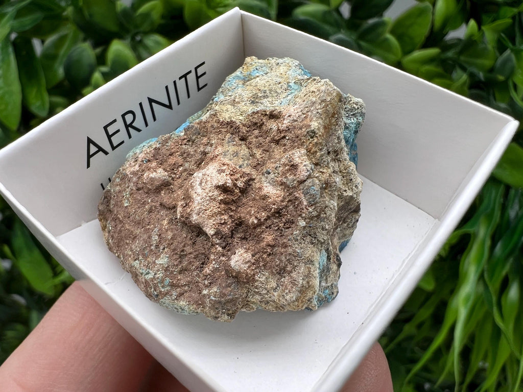 Rare Raw Aerinite Mineral Specimen: Lleida, Spain (3.5/3 CM