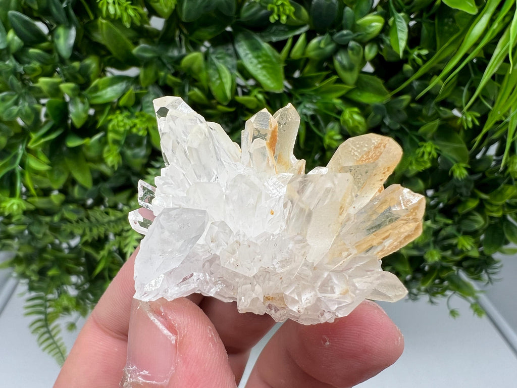 Stunning Quartz covered whit iron oxide limonite natural minerals souvenir crystal home decor stone collection minerals 9 th September mine