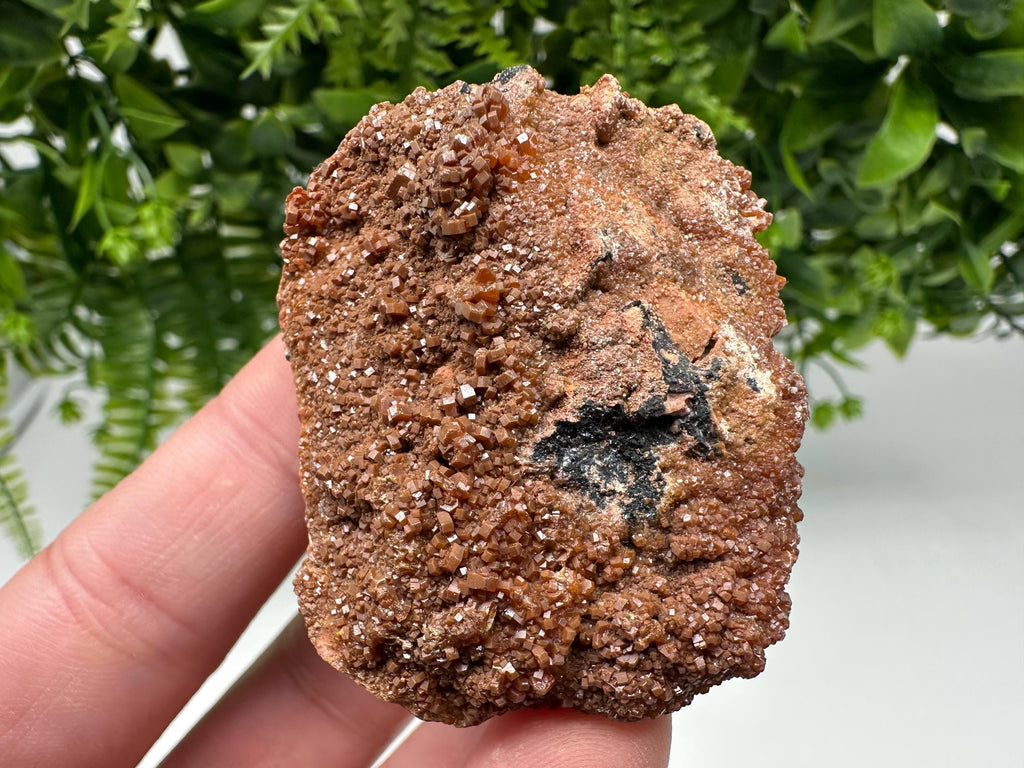 Red Vanadinite on Matrix from Marocco,crystal minerals Speciment cluster Vanadinite crystal Vanadinite Geology Vanadinite cluster minerals