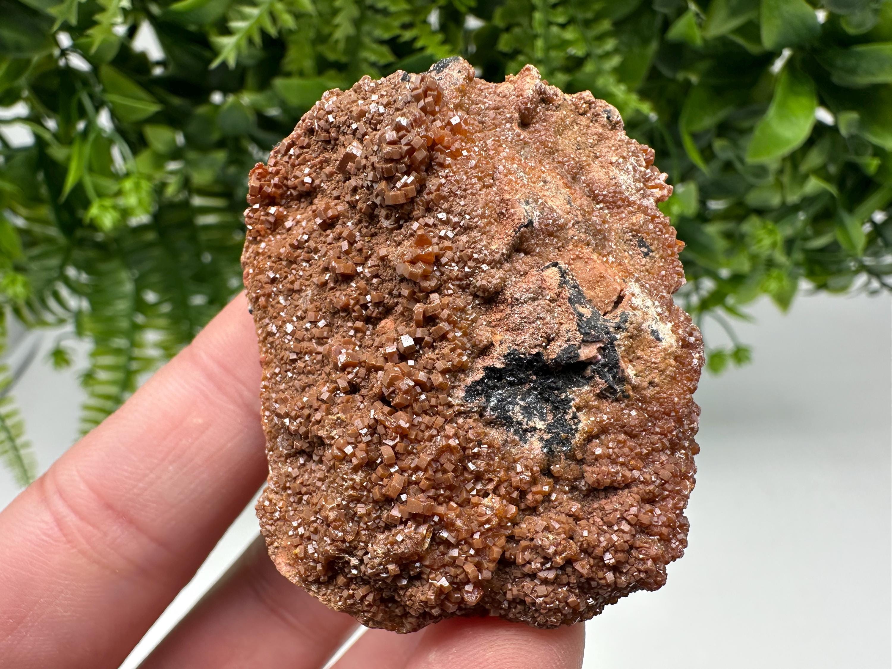 Red Vanadinite on Matrix from Marocco,crystal minerals Speciment cluster Vanadinite crystal Vanadinite Geology Vanadinite cluster minerals