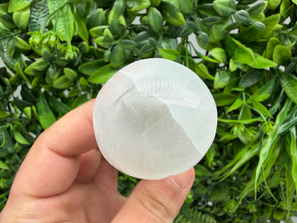 Selenite Mushroom – Carved Selenite Crystal Mushroom – Healing Crystal – Spiritual Decor – Meditation Stone – Reiki Crystal