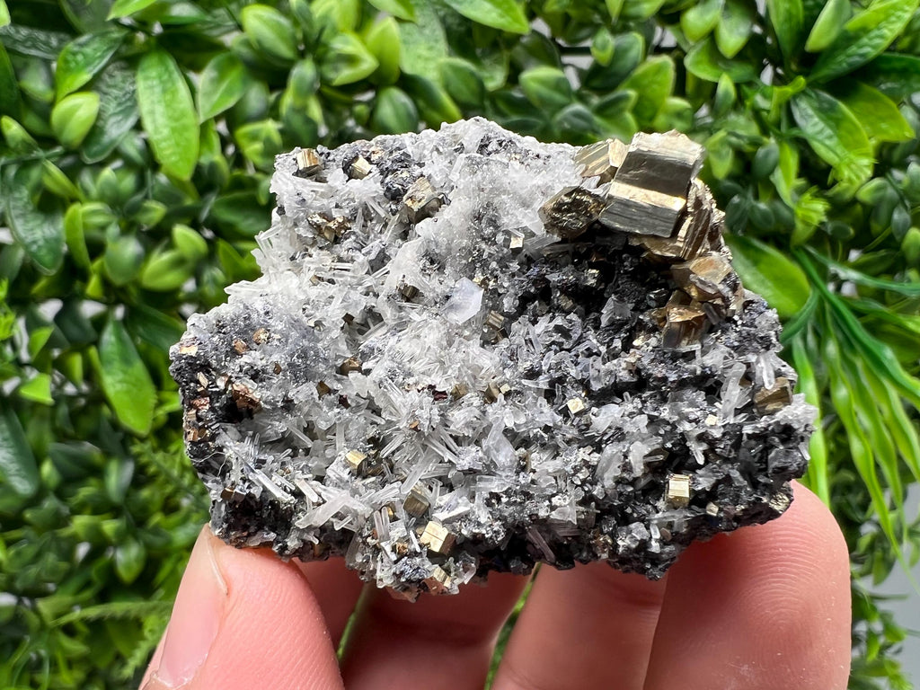 Rainbow Pyrite on Quartz, Oxide Mineral Specimen, Bulgaria