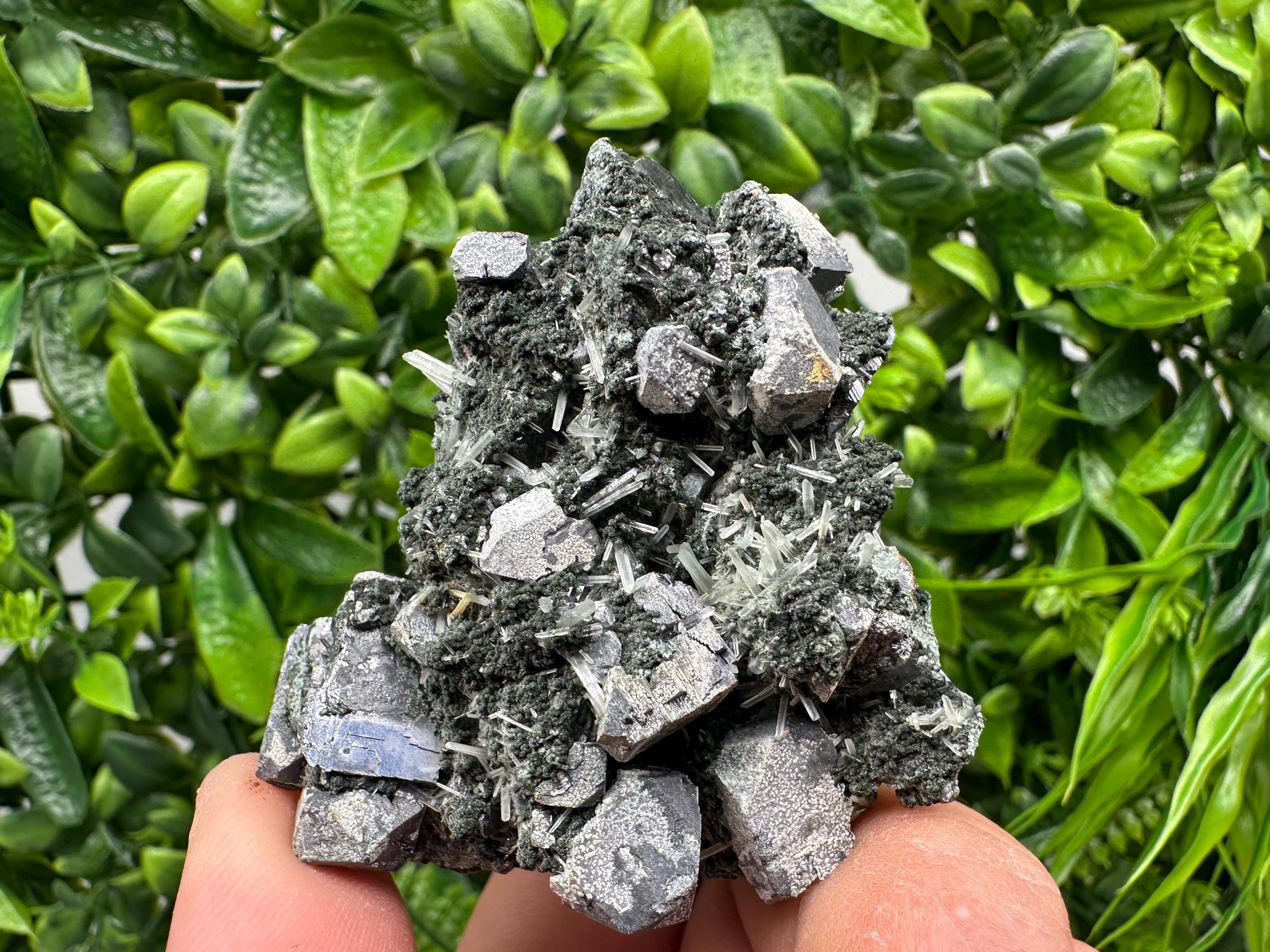 Sphalerite on Quartz, Epidote, Chlorite, Borieva Mine Mineral Specimen