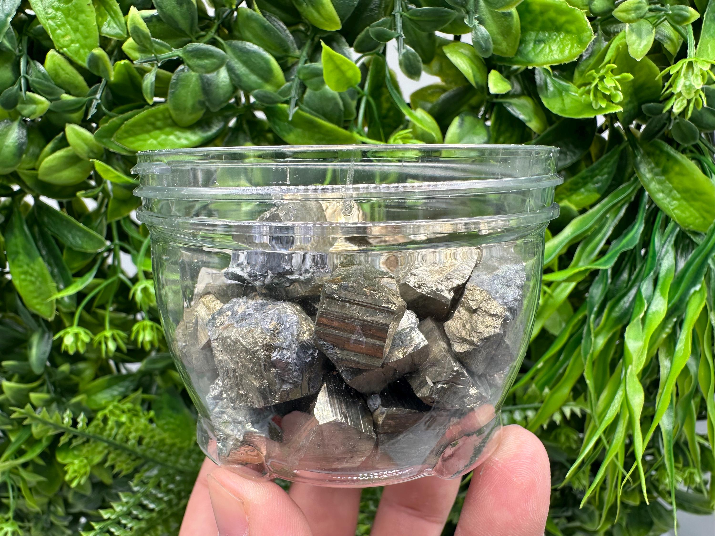 Golden Pyrite Cubes Box: Shiny Mineral Collection (500/520 grams)