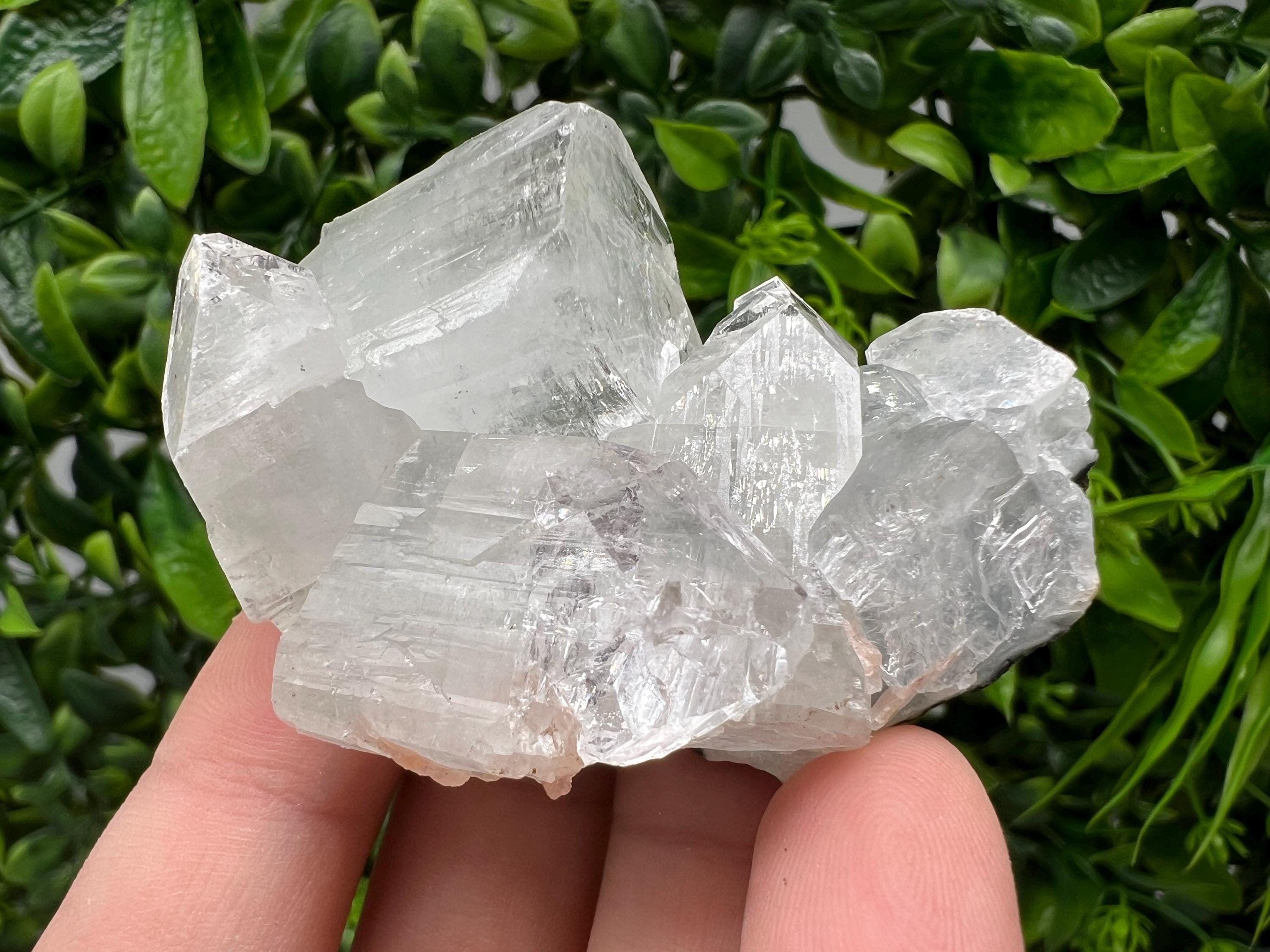 Transparent Apophyllite on Chalcedony, Natural Crystal Specimen, India Minerals