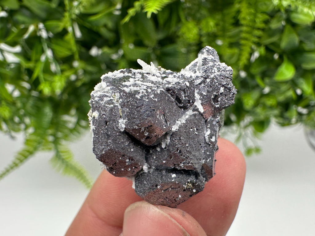 Skeletal Galena on Quartz, Bulgaria Mineral Specimen