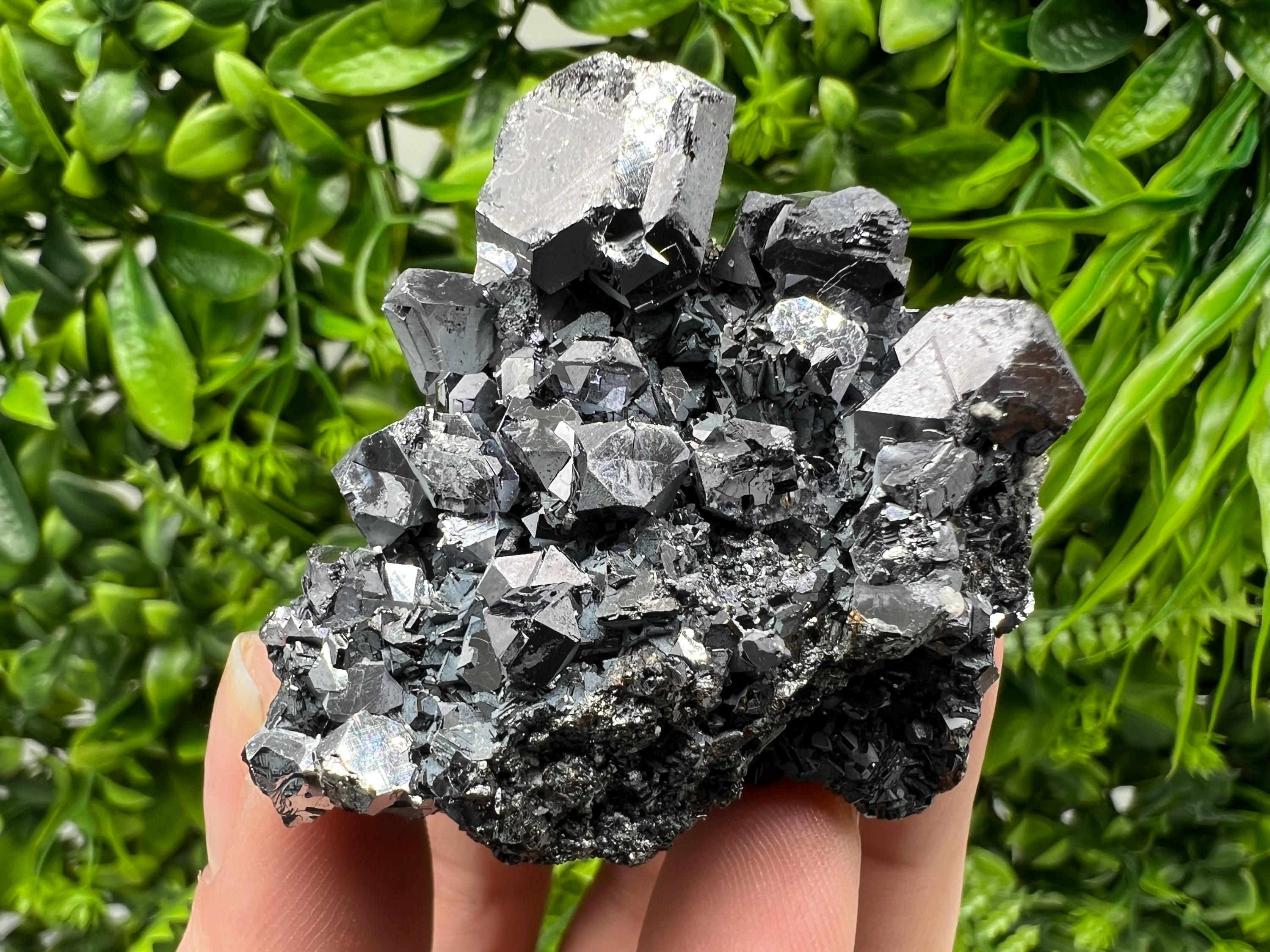Galena Spinel Law on Sphalerite, Borieva Mine Mineral Specimen