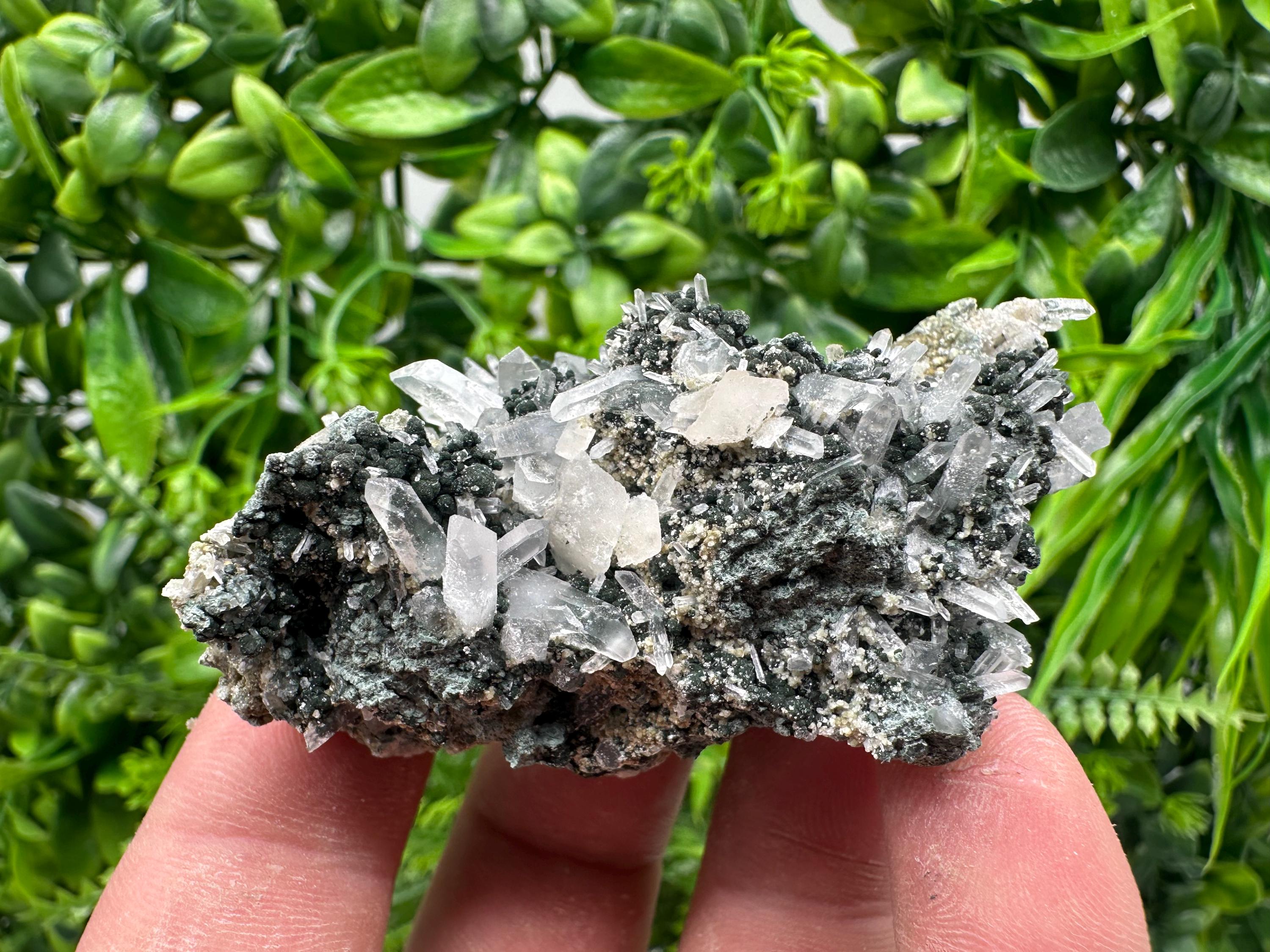 Transparent Quartz on Chlorite Matrix, Bulgaria Mineral Specimen
