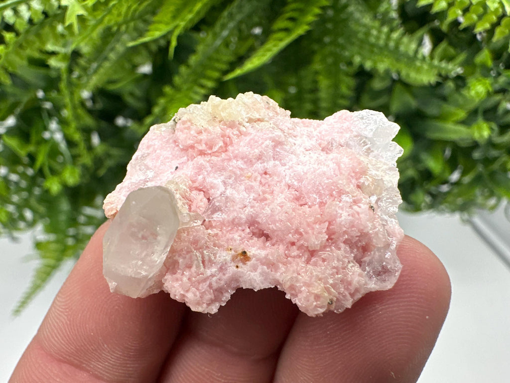 Rhodochrosite on Quartz: Pink Mineral Specimen, Starnica Mine
