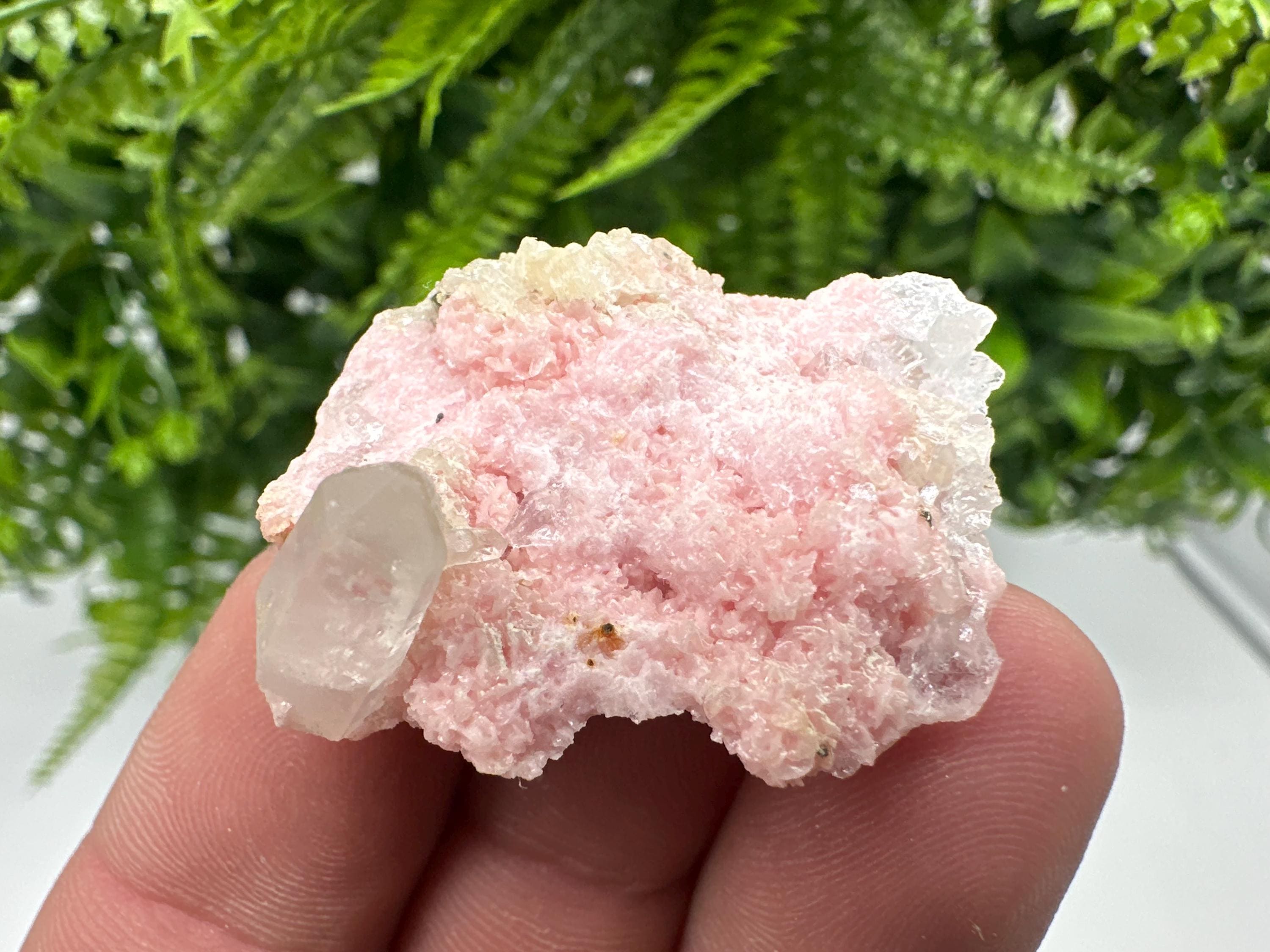 Rhodochrosite on Quartz: Pink Mineral Specimen, Starnica Mine