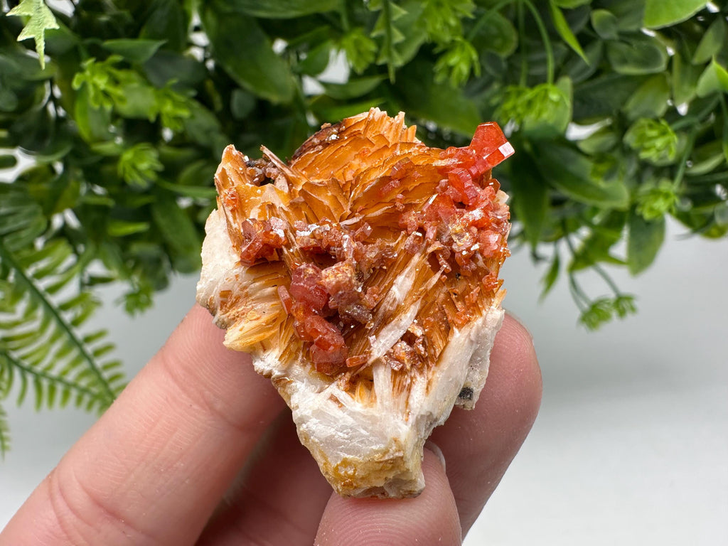 Red Vanadinite on Barite Crystal Specimen, Moroccan Mineral Cluster