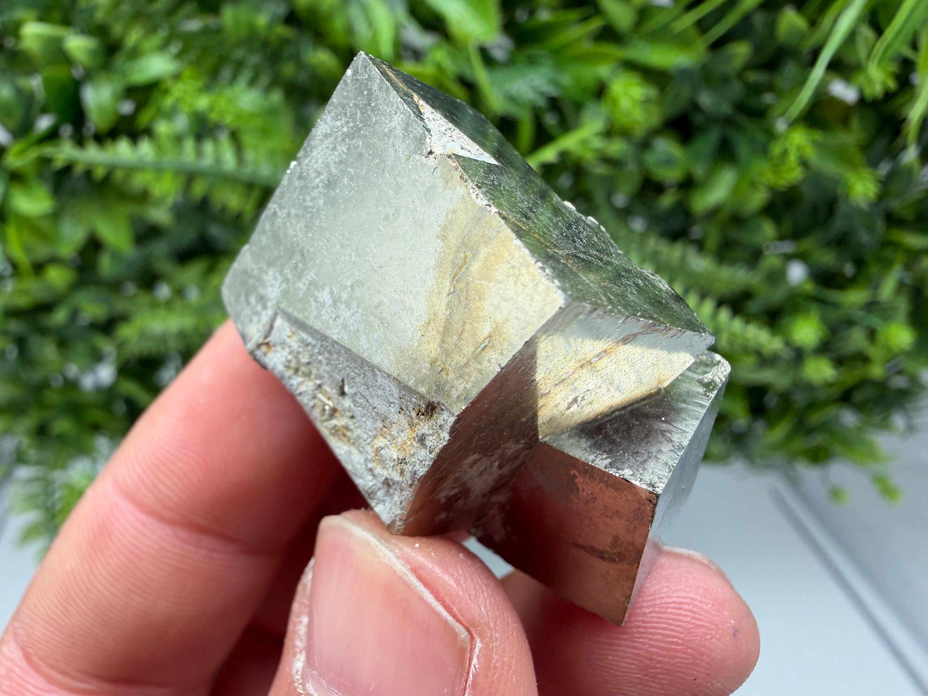 Interjoined Pyrite Cube, Shiny Home Decor Stone, La Rioja Spain
