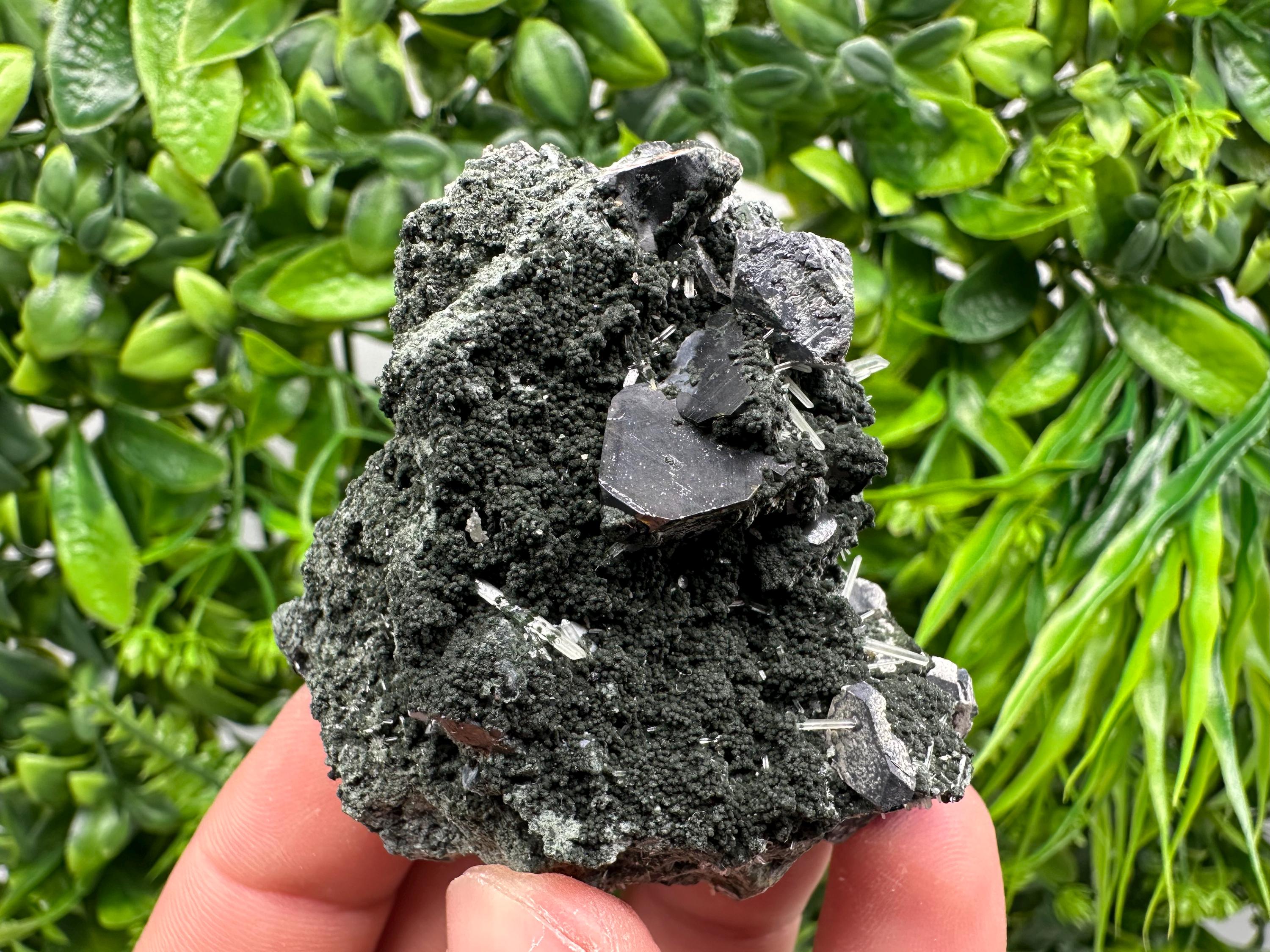 Sphalerite on Quartz, Epidote, Chlorite, Borieva Mine Mineral Specimen