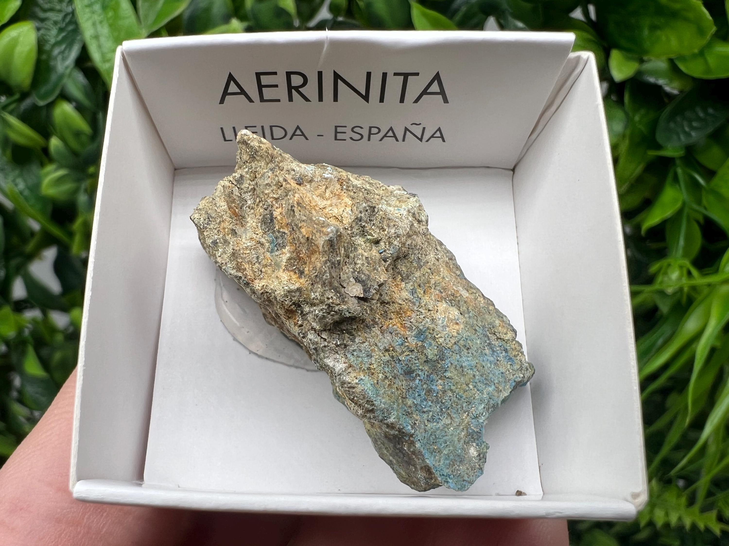Rare Raw Aerinite Mineral Specimen: Lleida Spain Crystal, 4/2.5cm