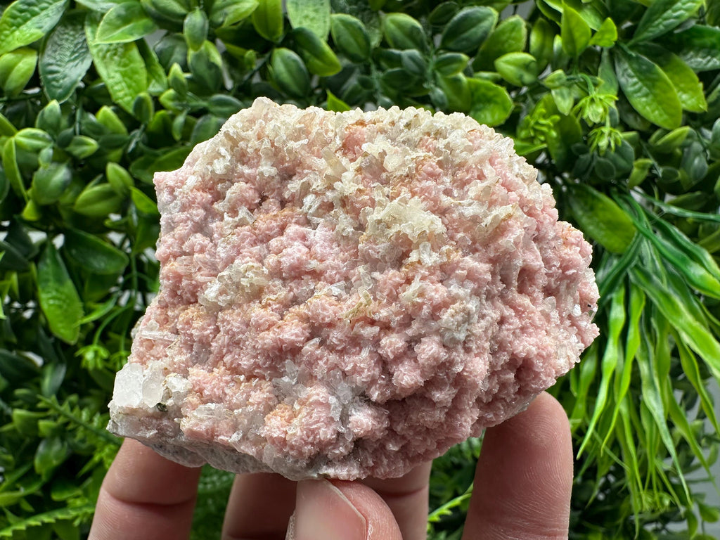 Rhodochrosite on Quartz, Starnica Mine, Bulgaria
