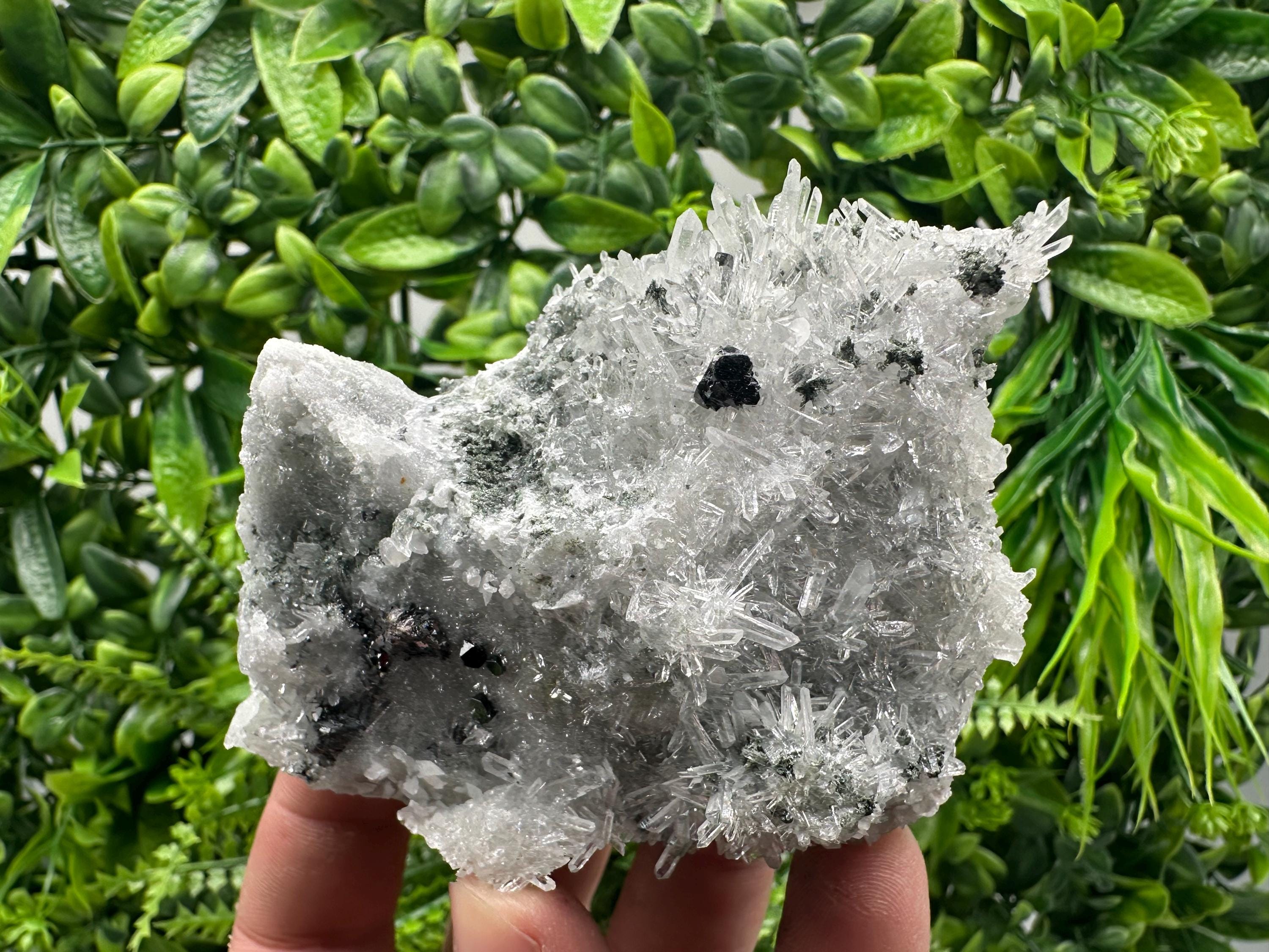 Sphalerite on Green Quartz, Borieva Mine Mineral Specimen