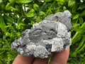 Galena with Quartz Specimen: Krushev Dol Mine, Bulgaria