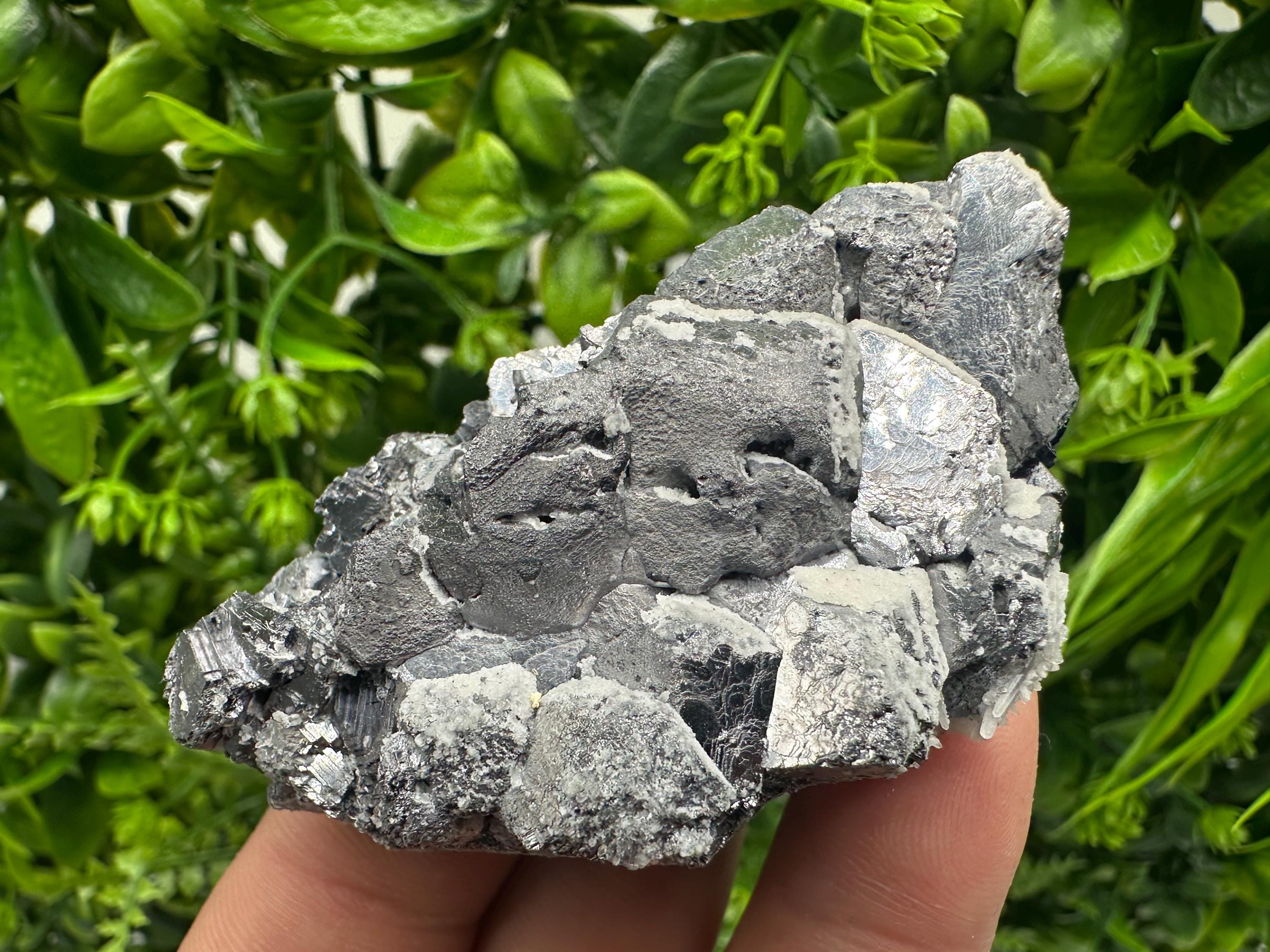 Galena with Quartz Specimen: Krushev Dol Mine, Bulgaria