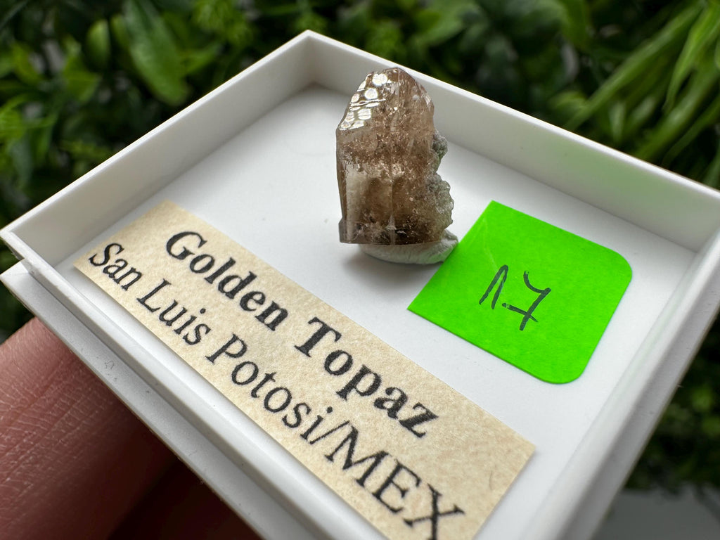 Golden Topaz Crystal, Mineral Specimen from Mexico