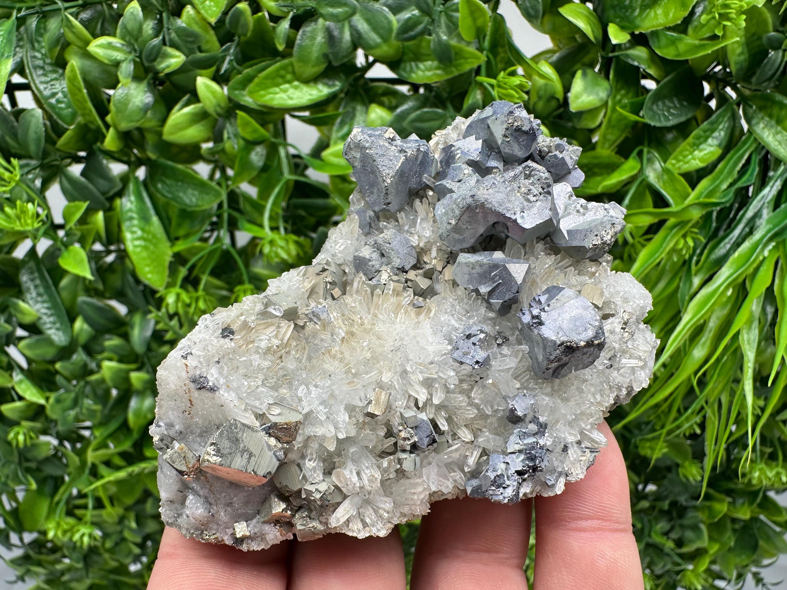Galena Sphalerite Chalcopyrite Quartz Mineral Specimen: Djurcovo Mine, Bulgaria