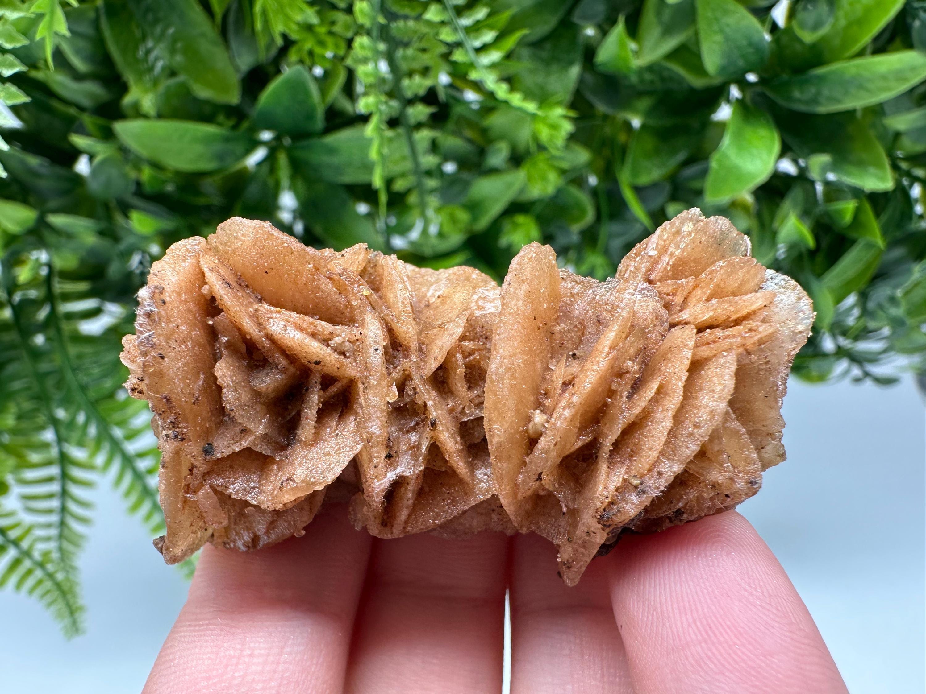 Natural Desert Rose Crystal - Root Chakra Healing Selenite Brown Stone - Vitality & Creativity Boost - Spiritual Gift for Home Decor,mineral