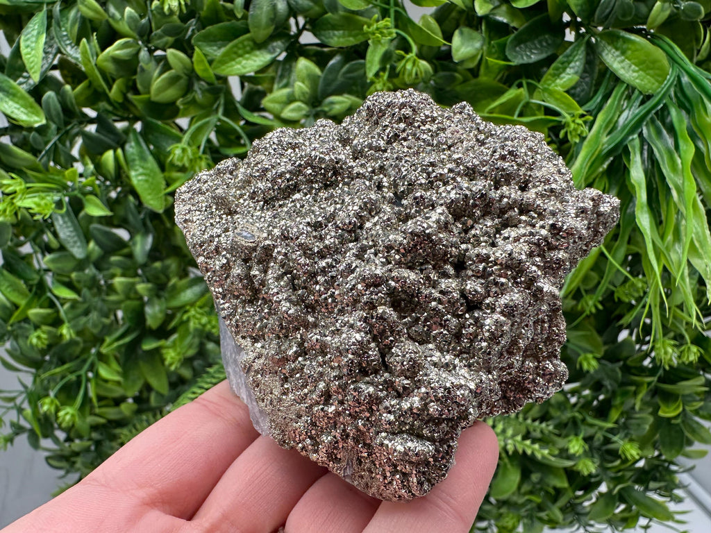Marcasite Cluster on Chalcedony, Bulgaria Mineral Specimen