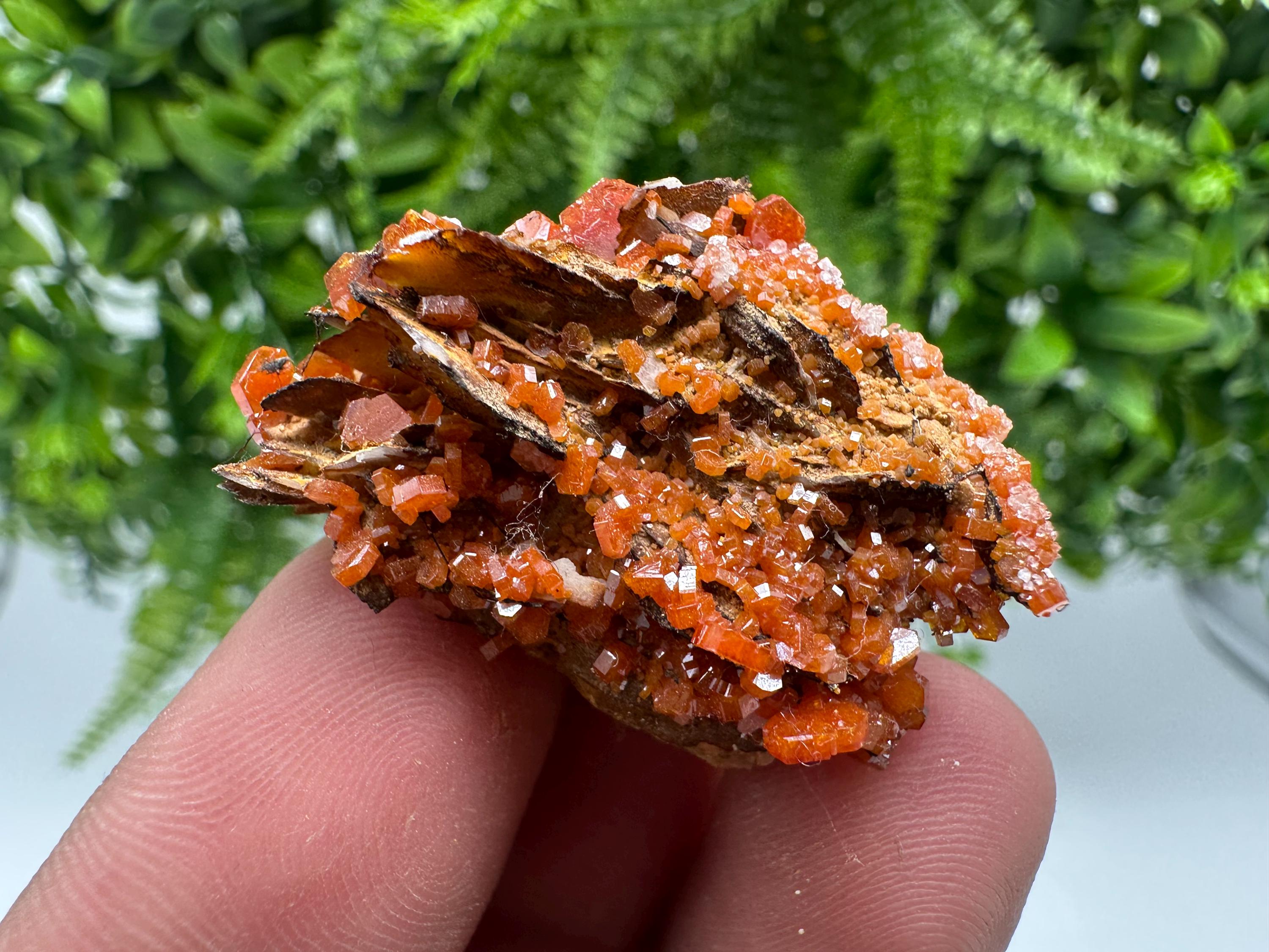Red Vanadinite on Barite from Marocco,crystal minerals Speciment cluster Vanadinite crystal Vanadinite Geology Vanadinite cluster minerals