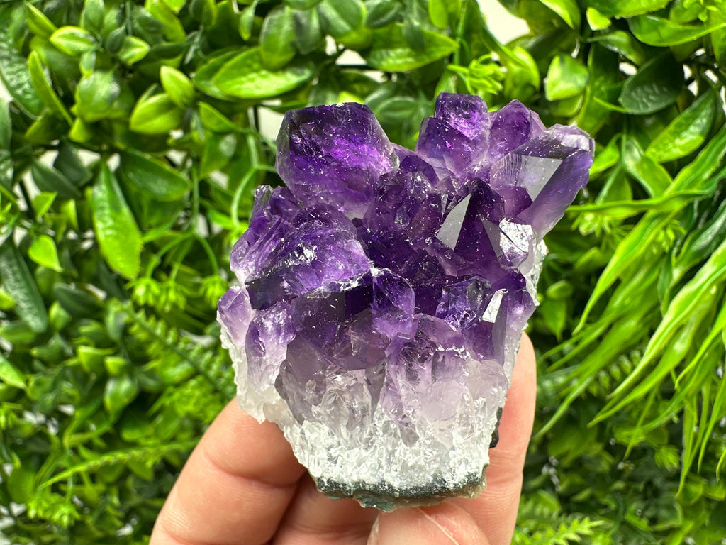 Uruguay Amethyst Cluster: Purple Quartz Crystal, Home Decor
