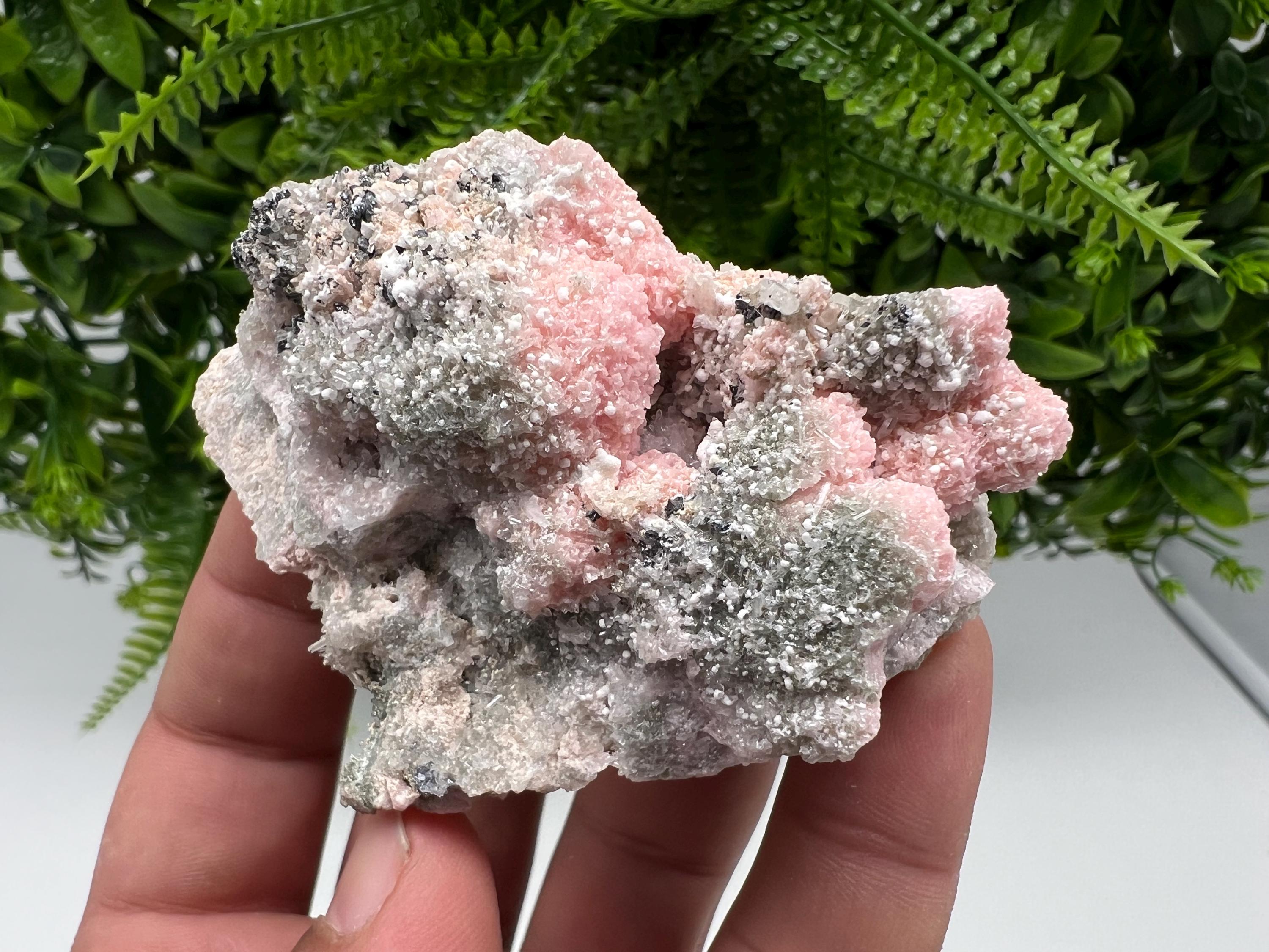 RARE Rhodochrosite with Calcite: Starnica Mine, Bulgaria