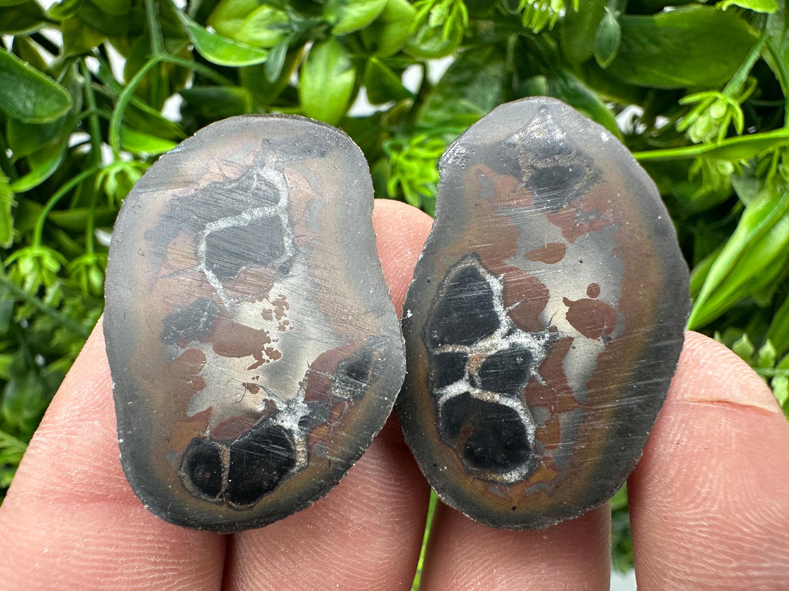 Septarian Nodule Geode Pair: Dragonstone Healing Stone