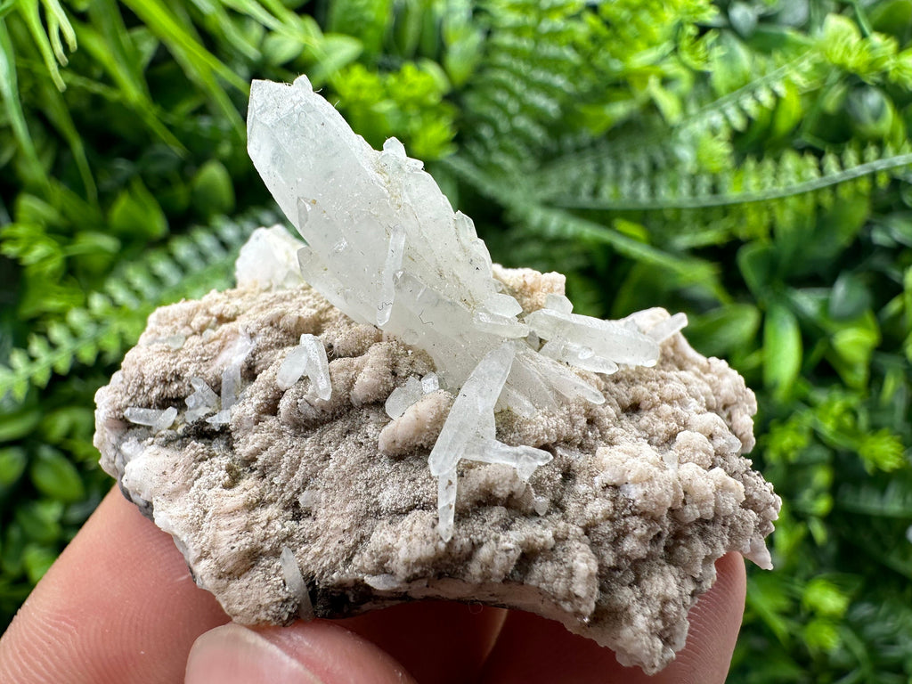 Quartz with Chlorite, Rhodochrosite, Siderite - Mineral Specimen