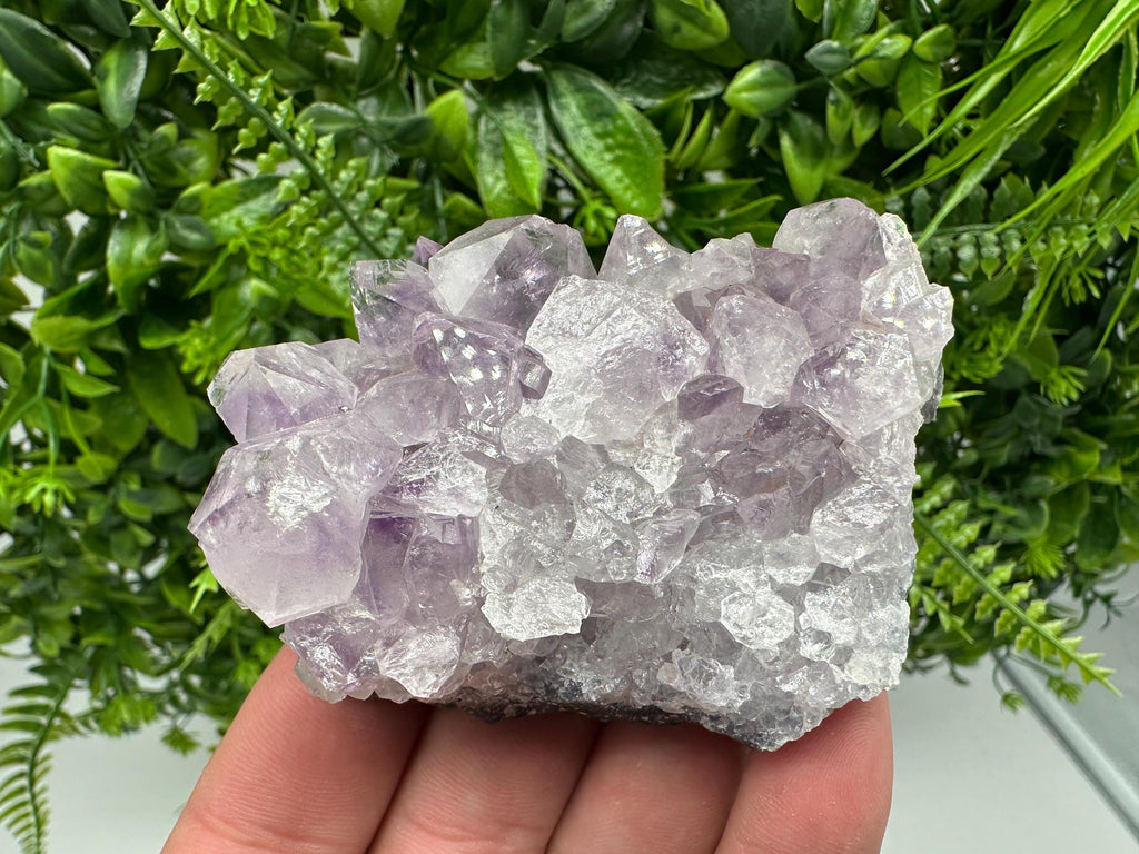 Brazilian Amethyst Cluster, Purple Quartz Specimen