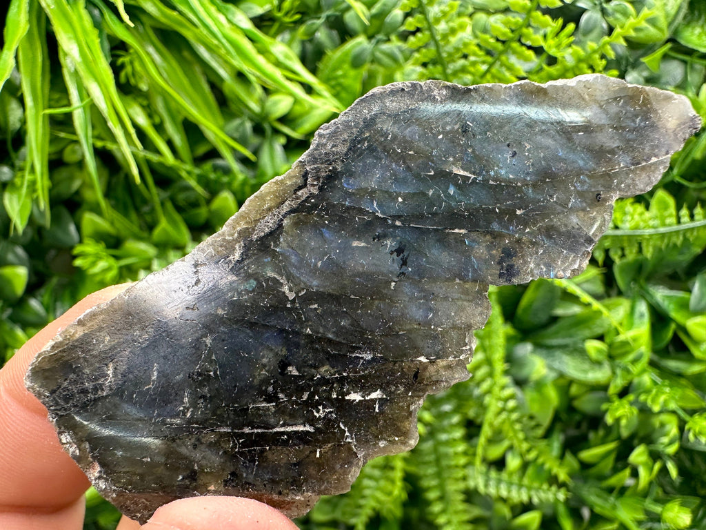 Polished Multifire Labradorite Slab: Raw Crystal Decor