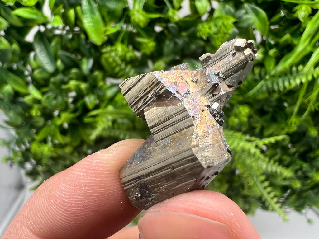 Mini Rainbow Pyrite Crystal Cluster, Bulgaria Borieva Mine