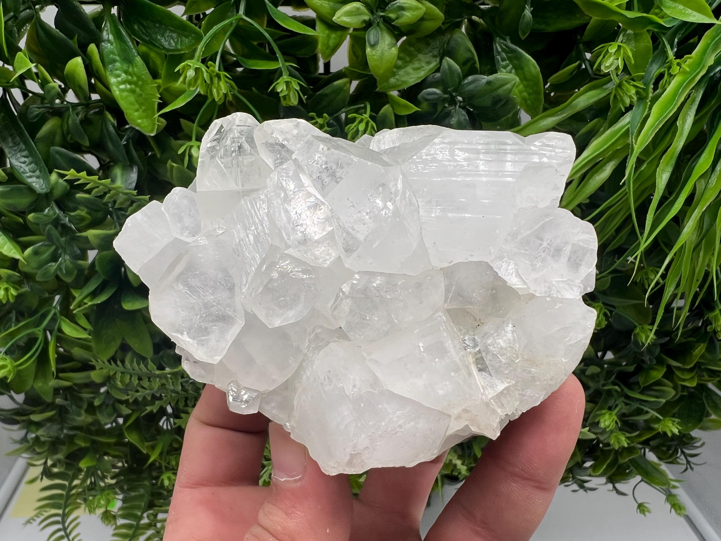 Apophyllite on Chalcedony Specimen: Transparent Crystal, India Minerals