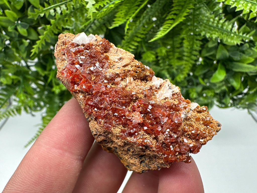 Red Vanadinite Crystal Cluster on Barite Matrix, Morocco Mineral Specimen