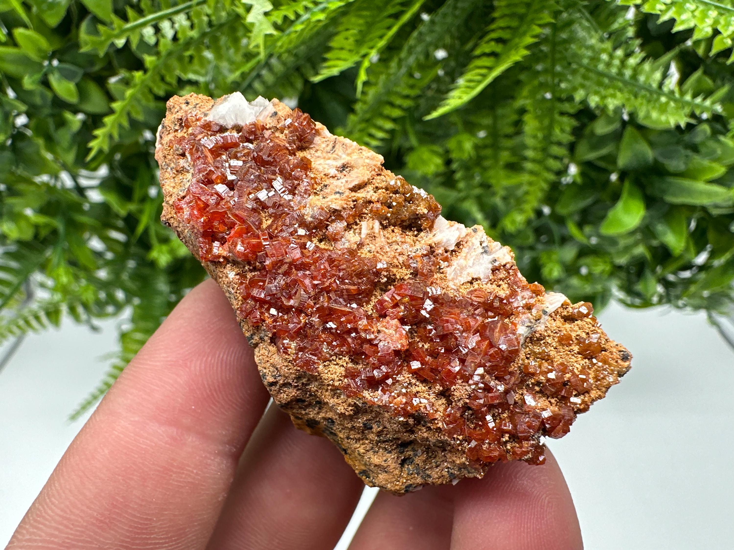 Red Vanadinite Crystal Cluster on Barite Matrix, Morocco Mineral Specimen