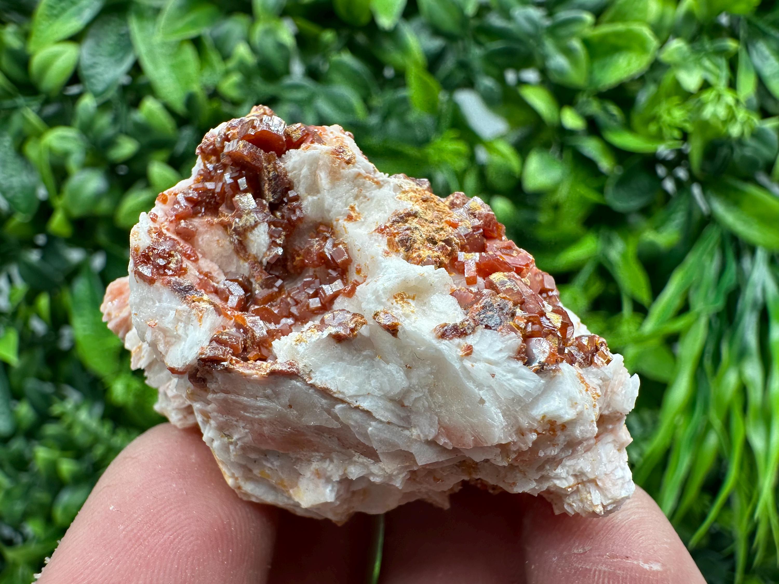 Red Vanadinite on Barite, Morocco Crystal Cluster
