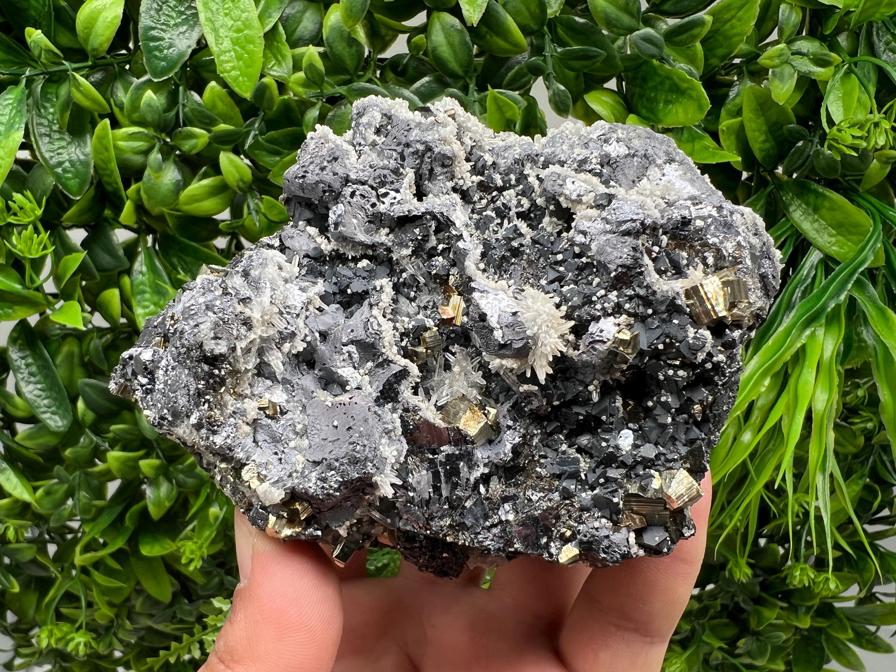 Galena Sphalerite Quartz Pyrite Mineral Specimen: Madan Bulgaria Rare Crystal