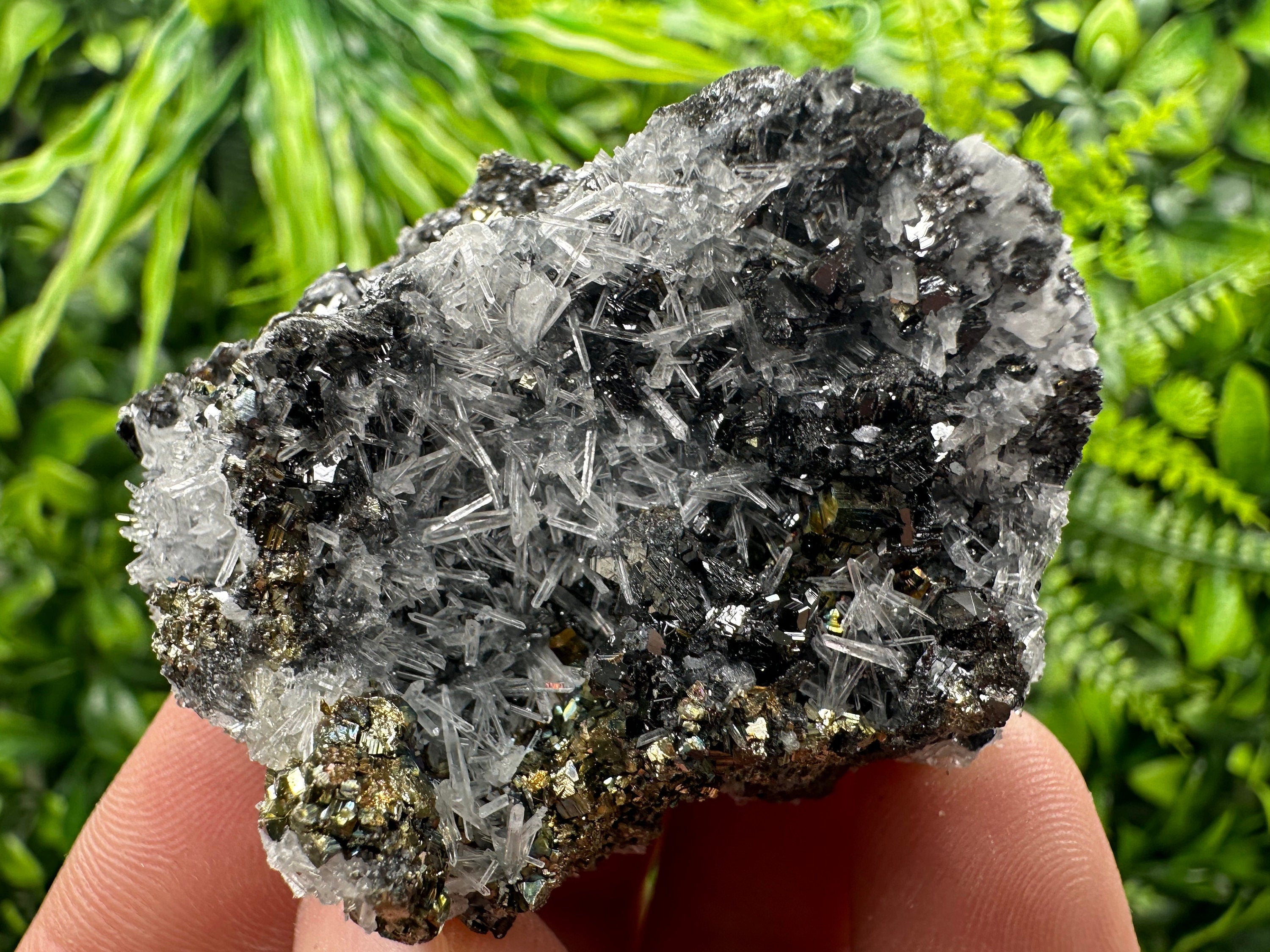Rainbow Pyrite, Sphalerite on Quartz: Natural Crystal Souvenir