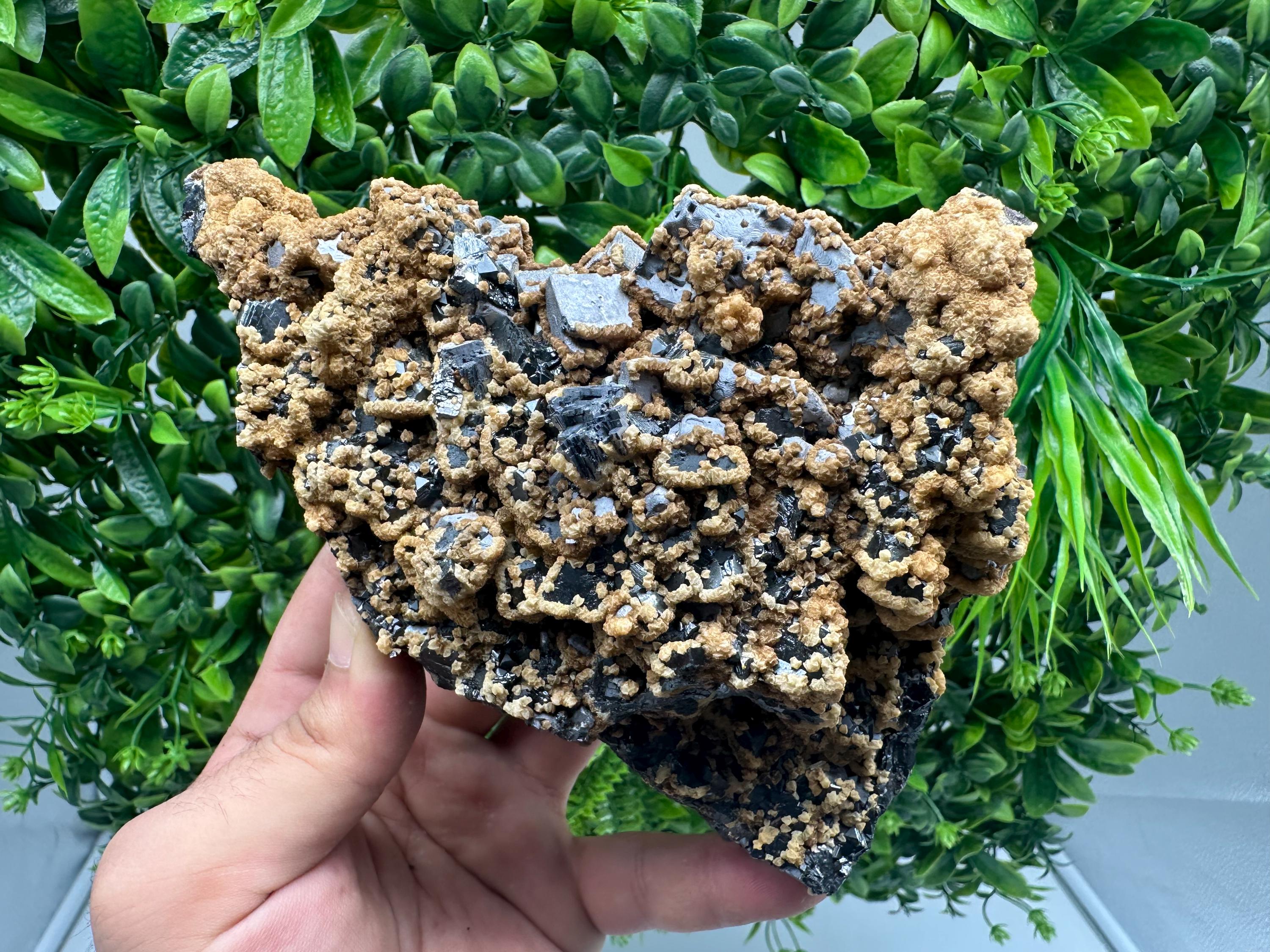 Skeletal Galena with Dolomite: Krushev Dol Mine, Bulgaria