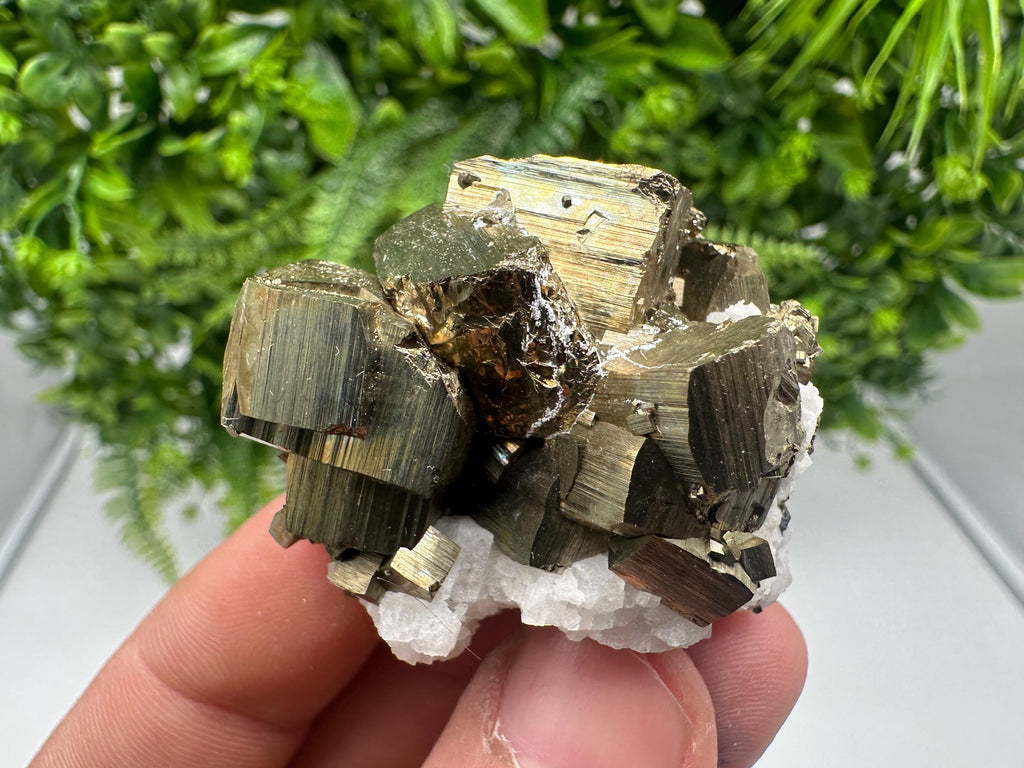 Rare Crystallization Pyrite, Borieva Mine, Bulgaria, Rainbow Golden Pyrite
