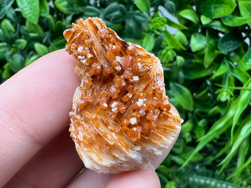 Red Vanadinite on Barite from Marocco,crystal minerals Speciment cluster Vanadinite crystal Vanadinite Geology Vanadinite cluster minerals